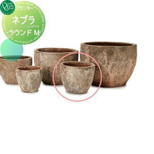 y10/25|CgUPzyTΏہz v^[ I[Nu lu Eh M zwTΏۊOi A Ԓd  K[fjO I[ GNXeA