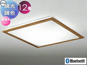 I[fbN ODELIC FV[OCg OL251627BCR ؍ރ`F[F FLED dF?F cotی`|V[Ot BluetoothΉ@ ?12 VR؃t[̃X^_[hȃfUC