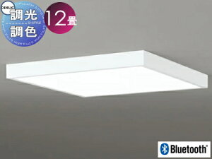 �I�[�f���b�N ODELIC �t���b�g�v���[�g �����p�������F�V�[�����O���C�g OL291507BR �A���~�I�t�z���C�g�F �p�^�^�C�v �d���F?�����F �c�o�t�ی`���|�V�[�����O��t Bluetooth�Ή��@�� ?12�� �ψ��