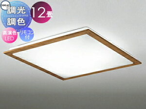 I[fbN ODELIC FV[OCg OL251627R ؍ރ`F[F FLED dF?F cotی`|V[Ot Rt ?12 VR؃t[̃X^_[hȃfUC