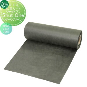 yTΏہz lH I[Nu hV[g Vbg@_[NO[@200g/[g@W550@30m KV2-GC05F I[ GNXeA