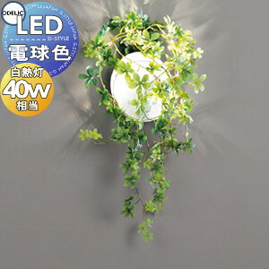 Ɩ  I[fbN ODELIC uPbgCg OB255128LR dF |}bgzCgF tFCNO[t M40W