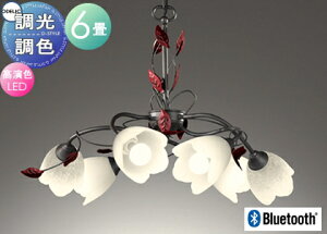 Ɩ  Vv _ LED I[fbN ODELIC VfA OC257028BR dF`F tF~j&VbNȃt[X^C BluetoothΉ@ FE`6