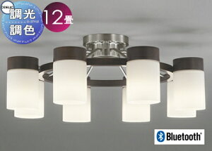 Ɩ  Vv _ LED I[fbN ODELIC VfA OC257068BR dF`F VbNȋԂɉf؂̂ BluetoothΉ@ FE`12