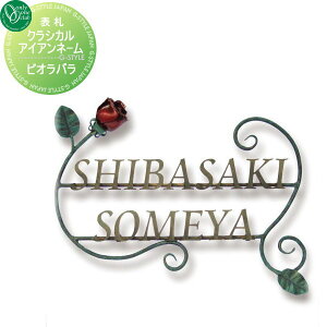 \D ACA I[Nu NVJACAl[ rIo ˌ I[_[ I[ GNXeA