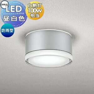 GNXeA O Ɩ Cg I[fbNODELIC |[`Cg OG254600NR F M100W }bgVo[ ی^ fUC F LED uPbgCg |[`Cg ֓ ֏Ɩ 