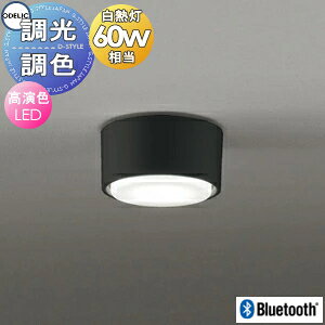 I[fbN ODELIC F ^V[OCg OL291449BCR ubN FLED dF?F BluetoothΉ@ Rʔ M60W tbg`LEDd̗pAv\