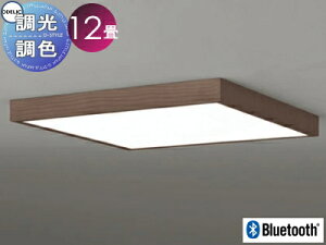 I[fbN ODELIC tbgv[g pFV[OCg OL291519BR A~ؒEH[ibgF p^^Cv dF?F cotی`|V[Ot BluetoothΉ ?12 ψ