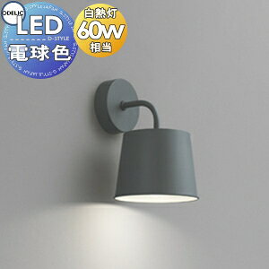 kfUC̉ƋɃsb^̂ Ɩ  I[fbN ODELIC uPbgCg OB255069LR dF `R[O[F M60W