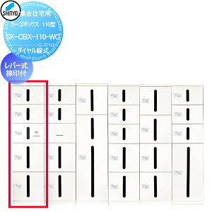 y|CgUPzyTΏہz WZ }V Ap[g X Ɩp  z{bNX _hz[NGCg(Va) J[S{bNX 110^ _C zCg o[