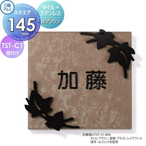 \D OA~ OR ^C+XeX TST-C1B ^C uE 145p^Cv ` \DV~[VΉ TST-C1 ˌ I[_[