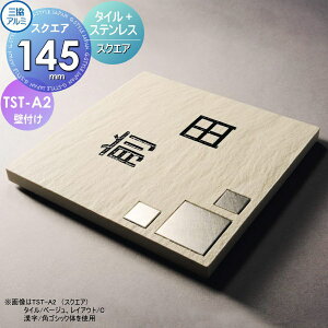\D OA~ OR ^C+XeX TST-A2(XNGA) 145p^Cv ` \DV~[VΉ TST-A2 ˌ I[_[