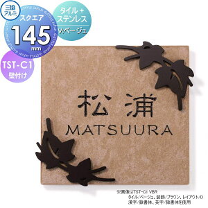 y|CgUPz\D OA~ OR ^C+XeX TST-C1 V ^C x[W 145p^Cv ` \DV~[VΉ TST-C1 ˌ I[_[