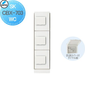 【無料★特典対象】 集合住宅 マンション アパート 店舗 業務用 公共 宅配ボックス 神栄ホームクリエイト(旧新協和) 703型 下段用 スリム ダイヤル錠式・防滴型 ホワイト 3枚扉 SK-CBX-703-WC 宅