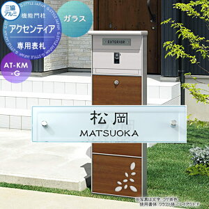 y|CgUPzp\D OA~ OR ANZeBAp KX AT-KM-G \DV~[VΉ AT-KM-G ˌ I[_[