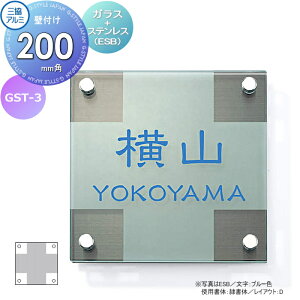 \D OA~ OR KX+XeX Ǖtp GST-3 200p^Cv ` \DV~[VΉ GST-3 ˌ I[_[