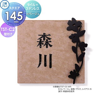 \D OA~ OR ^C+XeX TST-C2V ^C x[W 145p^Cv ` \DV~[VΉ TST-C2 ˌ I[_[