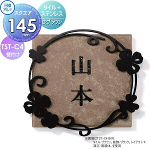 \D OA~ OR ^C+XeX TST-C4 B ^C uE 145p^Cv ` \DV~[VΉ TST-C4 ˌ I[_[