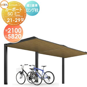 yGA̔zTCN|[g LIXIL NV TOEX J[|[gSC~j c2A 21-29^ OiH25j ؒF^Cv W2100mm×L5820mm×H2500mm ]   diy oCNu