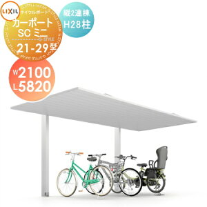 yGA̔z TCN|[g LIXIL NV TOEX J[|[gSC~j c2A 21-29^ H28 W2100mm×L5820mm×H2800mm ]   diy oCNu