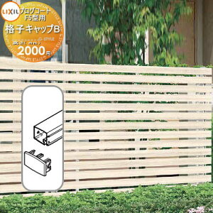 yiz tFX LIXIL(NV) TOEX vOR[gtFXF5^p iqLbvB(2EБ1i) J[ H2000 E O A~ `ރtFXK[f DIY   ͂