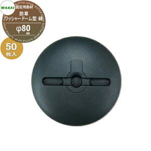 yiz hV[gŒp hbV[ h[^ () 80mm 50(1) 7213WDF (67298 3) JCY WAKAI Y V[ǧŒőlɎg hEAEH@ʁElHŁEEb