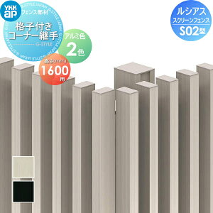 yiz XN[tFX YKK YKKap VAX XN[tFX S02^IvV iqtR[i[p A~J[ T160 `ރtFXK[f DIY   ͂ E O