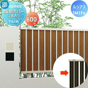 yiz tFX YKK YKKap VAXtFXTM1F^p [Jo[ (2{) H600 F01^ E O A~ `ރtFXK[f DIY   ͂