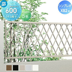 yTΏہz tFX YKK YKKap VvItFXXB2^ tFX{ H600 T60 W2000×600 `Xiq^Cv 8F^ E O A~ `ރtFXK[f DIY   ͂