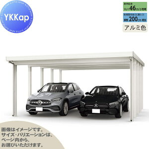 yGA̔z J[|[g 2p YKK YKKap W[|[g Pro 6000^Cv s10{ J55E12-48 H30 ނȂ A~F Ȃ MCDiṔEsEԌj  Ԍ K[W 