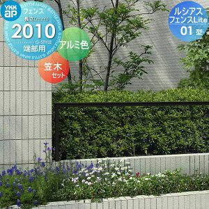 tFX YKK YKKap VAXtFXLite 01^ }(pt) [p(GhLbv1t) A~J[ E O A~ `ރtFXK[f DIY   ͂