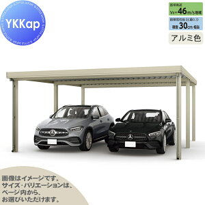 yGA̔z J[|[g 2p YKK YKKap W[|[g Pro 900^Cv s6{ J55E12-48 H25 ނȂ A~F Ȃ MCDiṔEsEԌj  Ԍ K[W 