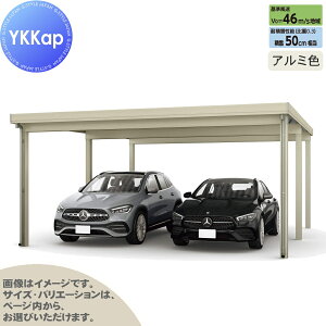 yGA̔z J[|[g 2p YKK YKKap W[|[g Pro 1500^Cv s6{ J55E12-55 H24 ނȂ A~F Ȃ MCDiṔEsEԌj  Ԍ K[W 