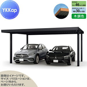 yGA̔z J[|[g 2p YKK YKKap W[|[g Pro 900^Cv P̒4{ 55-60 H24 ނȂ ؒF Ȃ MCDiṔEsEԌj  Ԍ K[W  2