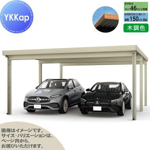 yGA̔z J[|[g 2p YKK YKKap W[|[g Pro 4500^Cv s6{ J55E12-48 H30 ނȂ ؒF Ȃ MCDiṔEsEԌj  Ԍ K[W 