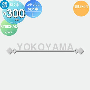 \D YKK YKKap ؕ^Cv XeXؕ\D LTCY W300mm \DV~[VΉ @\|[p KYBR2-D-(L) ˌ I[_[