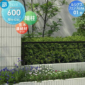 yiz tFX YKK YKKap VAXtFXLite 01^ Ԏdؒ [1^ T60 H600 }ؘAޕt E O A~ `ރtFXK[f DIY   ͂