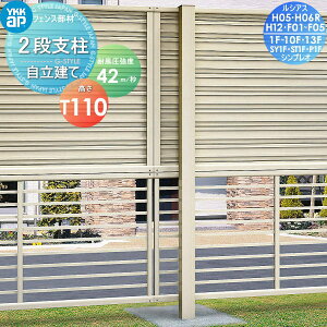 y|CgUPzyTΏہz i YKK YKKap 2ix ėp A~J[ T110(42m bdl)