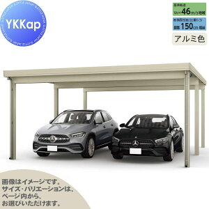 yGA̔z J[|[g 2p YKK YKKap W[|[g Pro 4500^Cv s6{ J55E12-55 H25 ނȂ A~F Ȃ MCDiṔEsEԌj  Ԍ K[W 