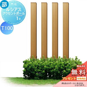 yTΏہz ؍ A~ YKK YKKap VAXANZg|[1^ 120p ؖڒJ[ nj[`F[ T100 UMB-1P ANZg|[ ANZT[ @\|[ ˌėp O