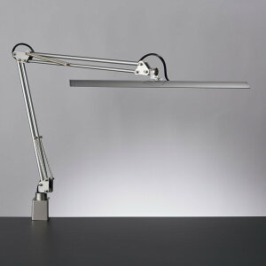 RcƖ LEDfXNCg Z-10RSL Vo[ F F iK Œ^Cv ZCg Z-Light [bgCg