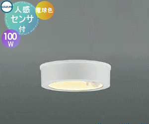 GNXeA O Ɩ Cg RCY~Ɩ koizumi KOIZUMI ^V[O AU50485 M100W lZT[ dF t@CzCg LED |[`Cg ֓ 和