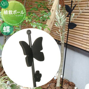 y|CgUPzyTΏہz K[fObY K[fjOc[ I[Nu A̓|[ |x  K[fObY K[fjOc[ A |[ I[ GN