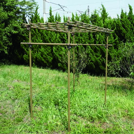 フルーツ栽培にお勧め！フルーツパーゴラ M