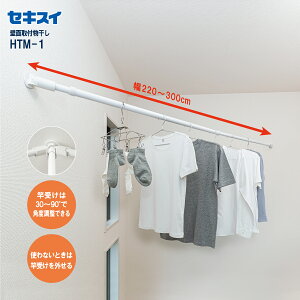 ZLXCǖʗpt̂ق HTM-1