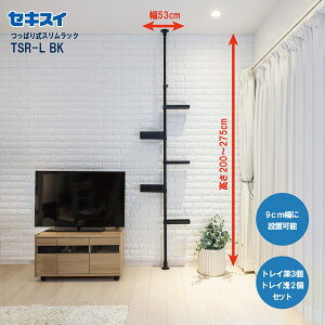 ZLXCς莮XbN TSR-LBK 200`275cm ubN