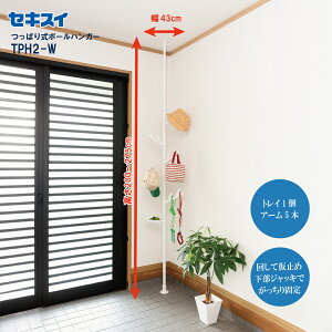 ZLXCς莮|[nK[c[ TPH2-W