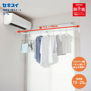 セキスイ瞬着強力極太ポール G-L