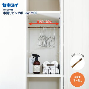 ZLXCؒrO|[~j SS 30`44cm