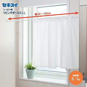 ZLXCrO|[~j L 60`100cm